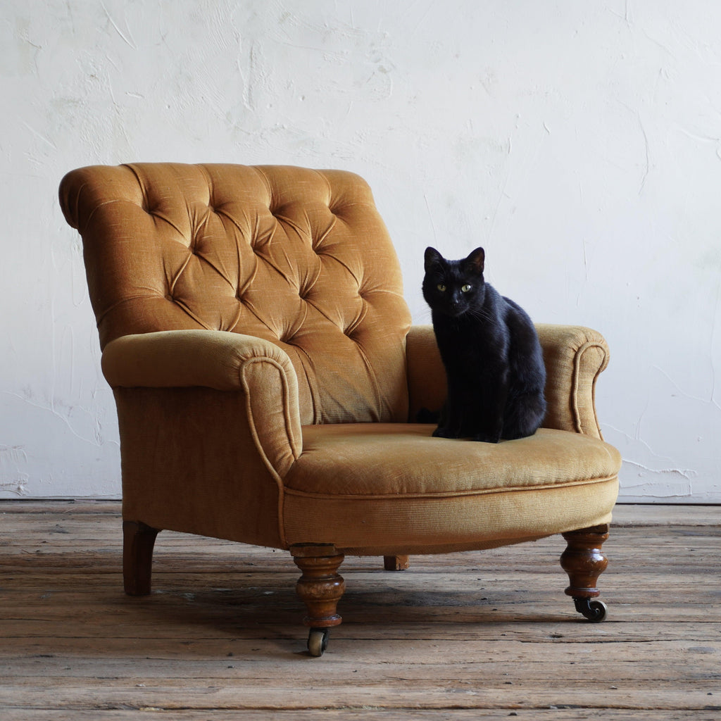 Antique Armchair - Gold Velvet-KONTRAST